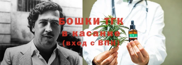 шишки Вязники