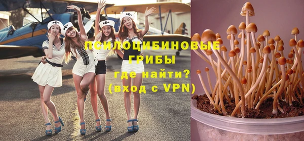 марки lsd Вяземский