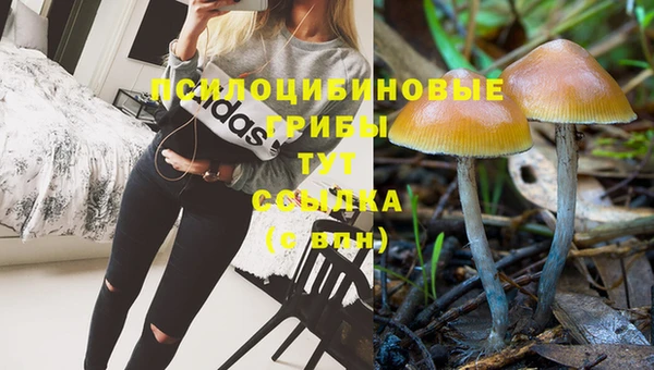 кокаин перу Вязьма