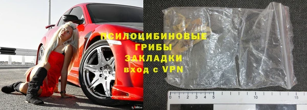 шишки Вязники