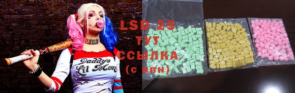шишки Вязники