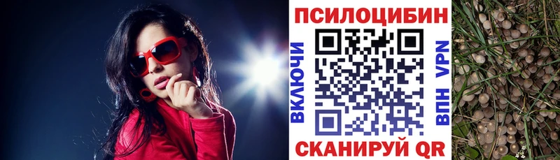 Псилоцибиновые грибы Magic Shrooms  Электросталь 